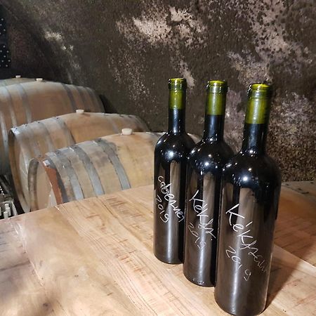 Willa Grand Cru 3. Vendeghaz Hegymagas Zewnętrze zdjęcie