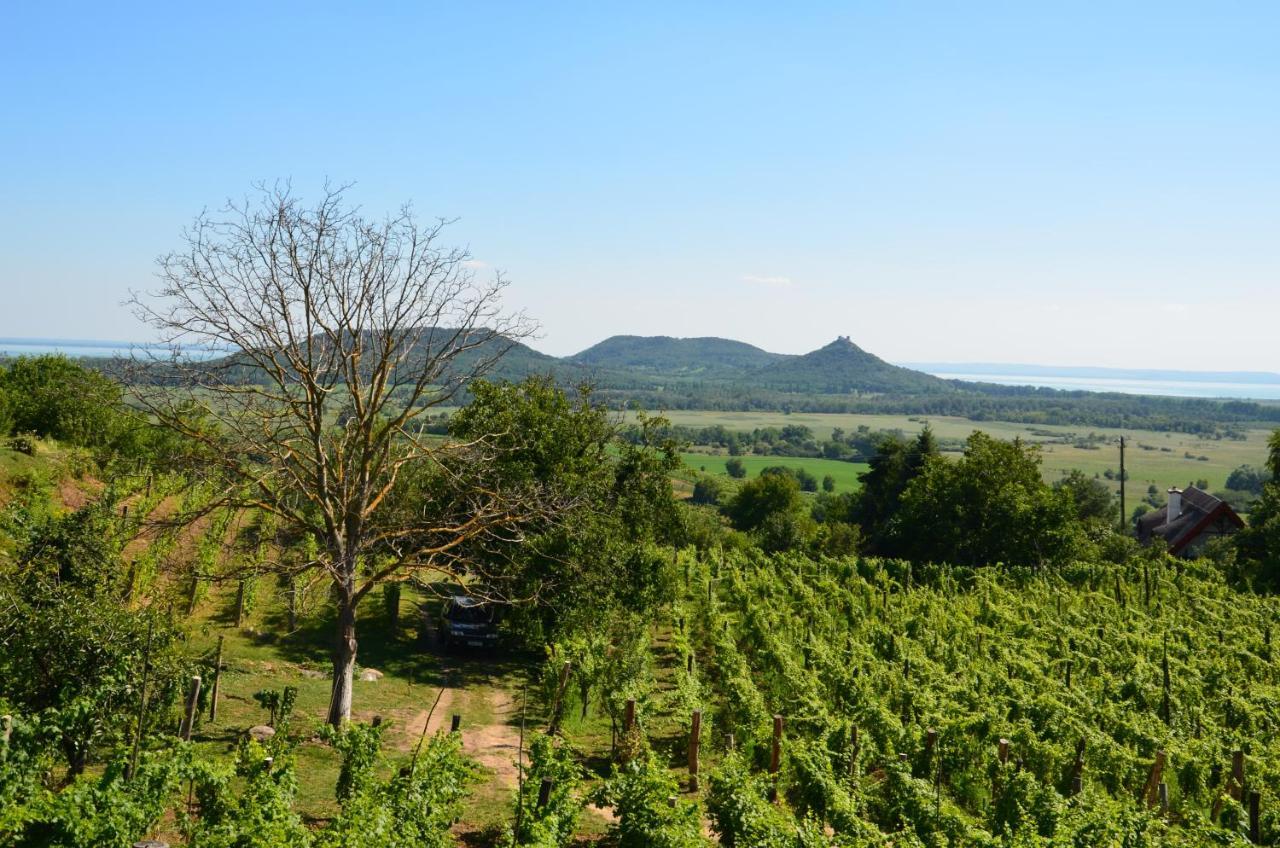 Willa Grand Cru 3. Vendeghaz Hegymagas Zewnętrze zdjęcie