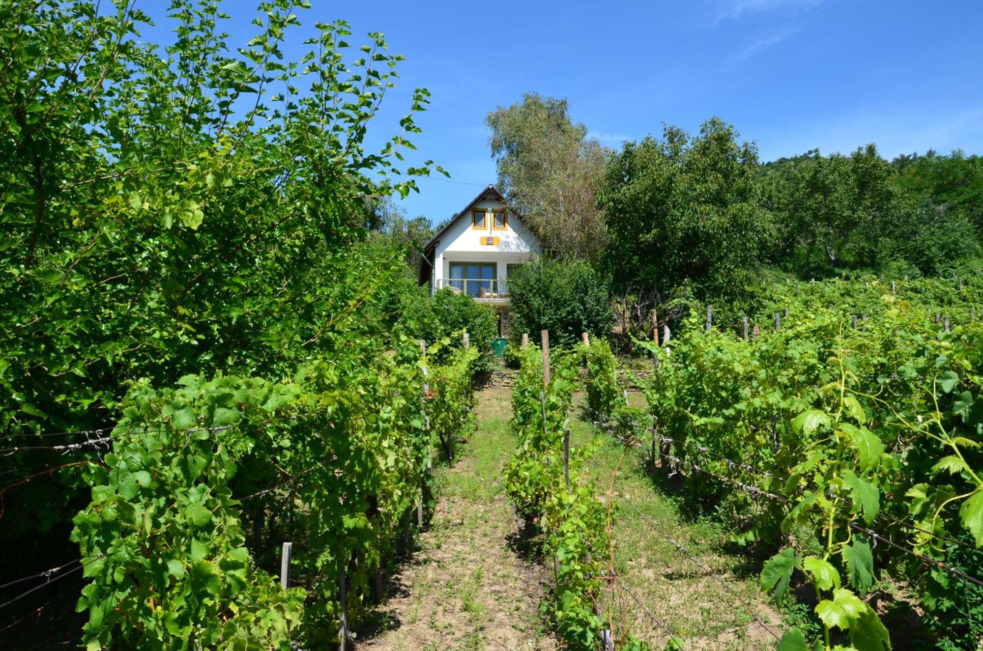 Willa Grand Cru 3. Vendeghaz Hegymagas Zewnętrze zdjęcie